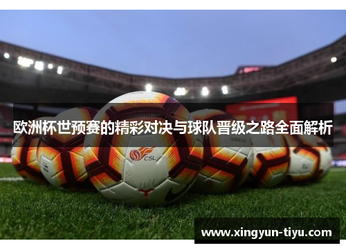 欧洲杯世预赛的精彩对决与球队晋级之路全面解析