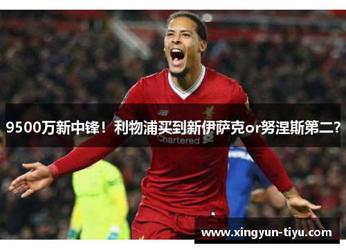 9500万新中锋！利物浦买到新伊萨克or努涅斯第二？